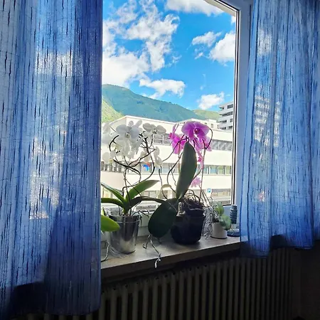 Casa Tarefa Da Barbara Locarno
